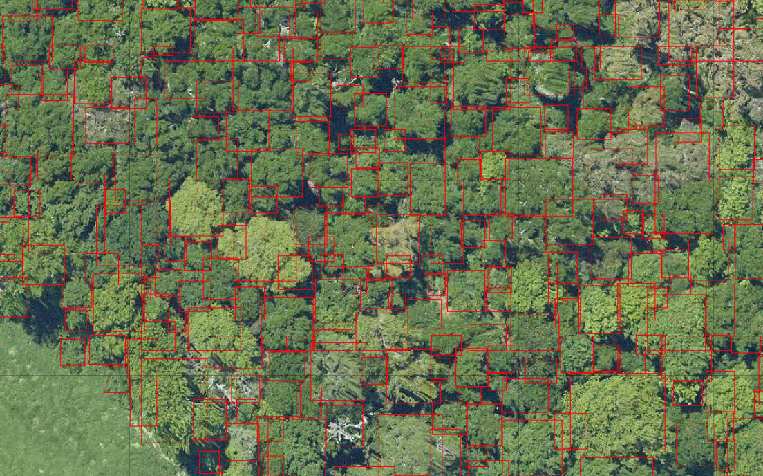 Screenshot of NEON Crowns web visualization interface showing interactive tree crown data