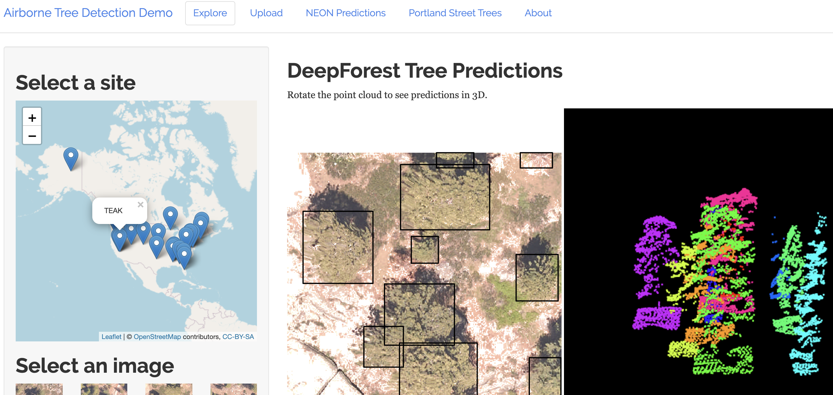 Visualization of spatially explicit tree species data