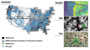 Map of United States with National Ecological Observator Network sites shown and panels showing: 1) Domain 3 with ecoregions; 2) An individual site (TALL) with elevation and vegetation survey plots; and 3) an individual vegatation survey plot with a virtual FIA design imposed on it.